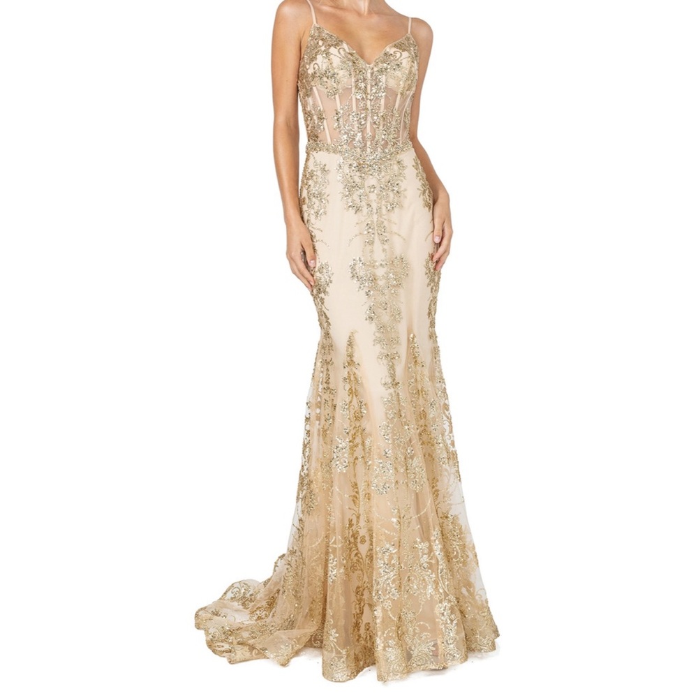 Sheer Corset Bodice Embellished Gown